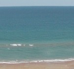 Random image: cropped-DSC00337.jpg