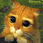 Random image: shrek-cat