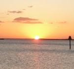 Random image: cropped-DSC00867.jpg