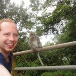 Random image: DSC02221