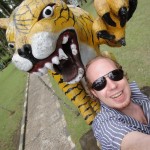 Random image: Tiger