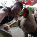 Random image: Cock