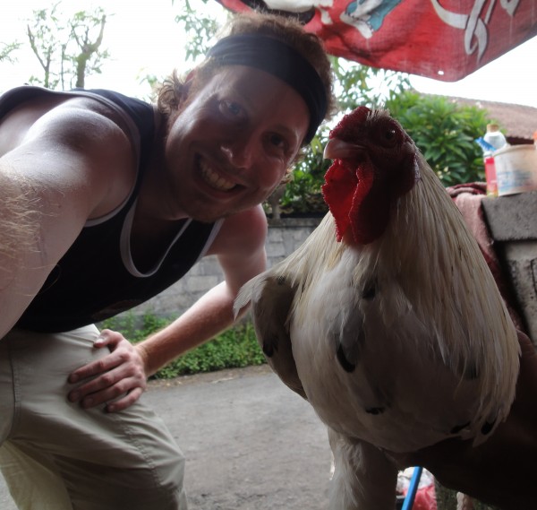 Cock